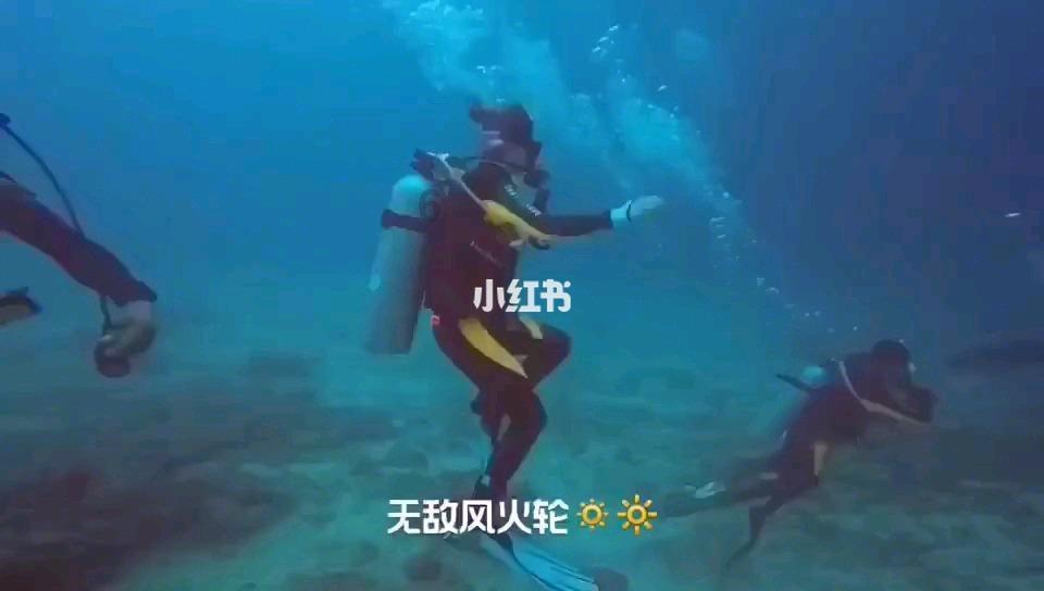 提醒:天气越冷,越不能对猫做这6件事,别等知道了伤猫才后悔